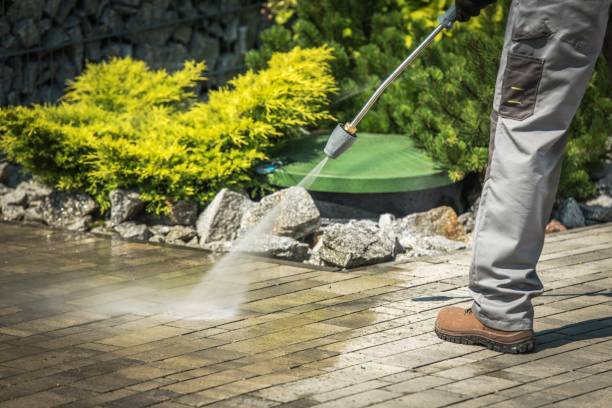 Best Animal Enclosure Cleaning  in Indio, CA
